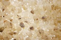 Kirchenweihrauch Dammar, Dose 20g